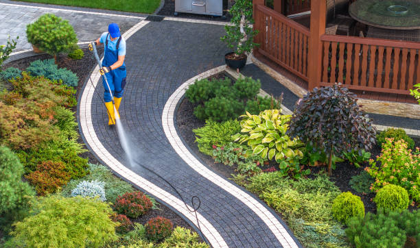 Best Local Pressure Washing Services  in Wakefield, VA