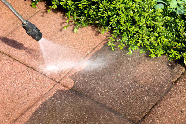 Best Residential Pressure Washing Services  in Wakefield, VA